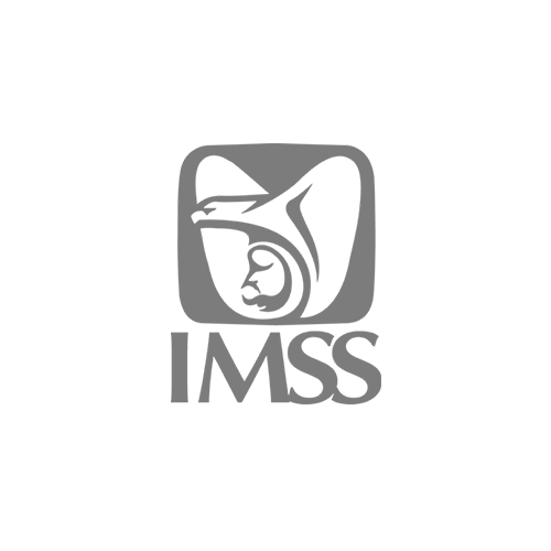 logo-imss